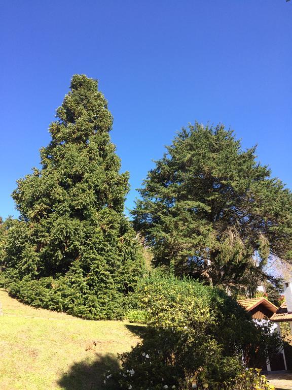 Chalé Aconchegante Villa Monte Verde  Esterno foto