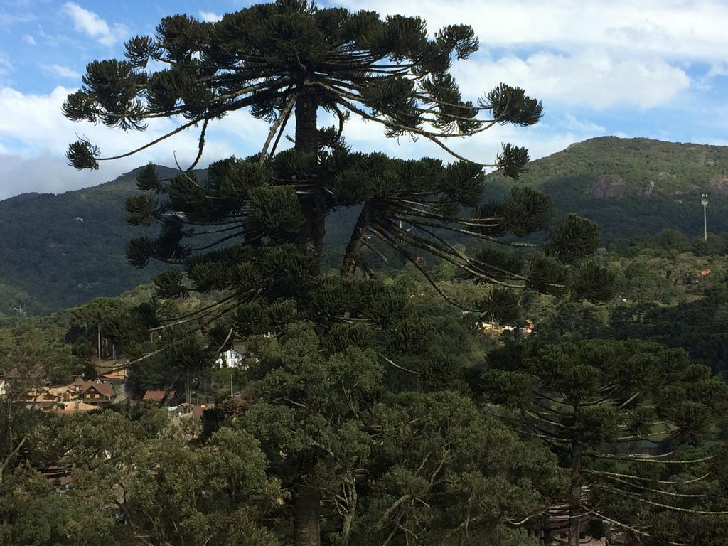 Chalé Aconchegante Villa Monte Verde  Esterno foto