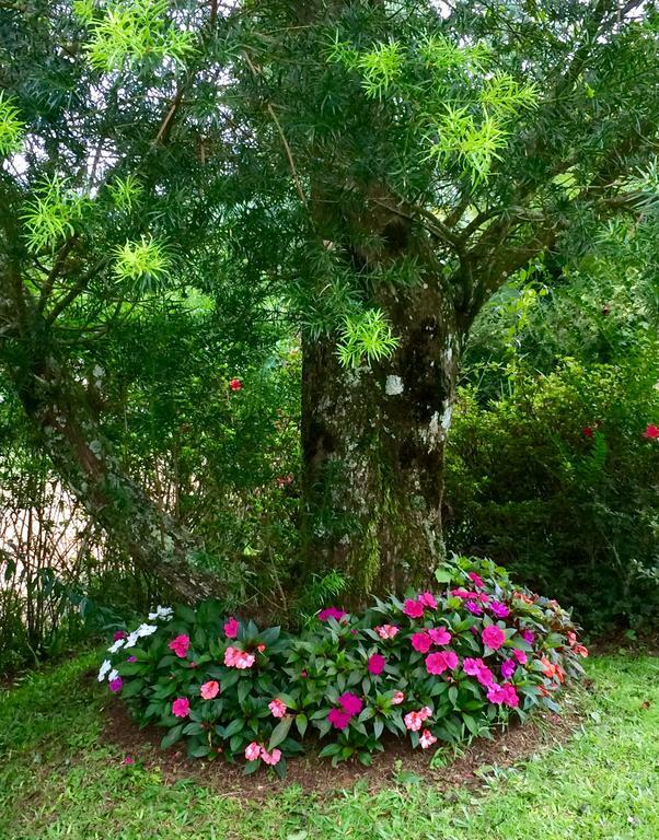 Chalé Aconchegante Villa Monte Verde  Esterno foto
